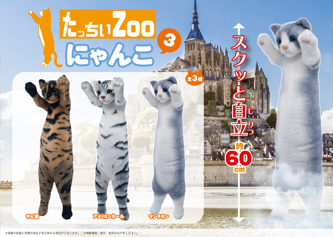 たっちいZoo  にゃんこ３