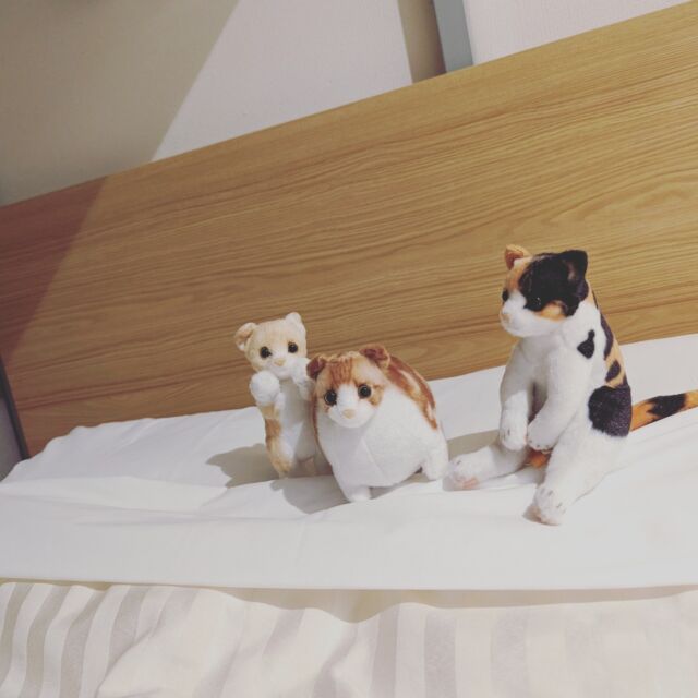 Lead りーどっく ぬいぐるみ Aベージュ】とっとこハム太郎 くまさんBIGぬいぐるみ オンライン